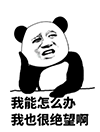 Ufex交易管家