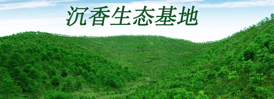 区块链