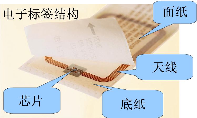 中国网协