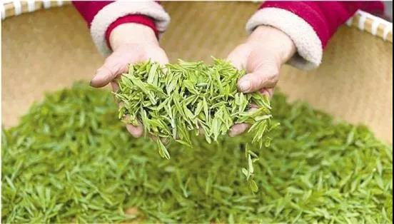 茶叶