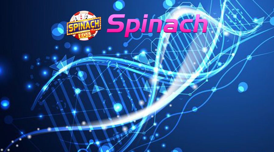 spinach