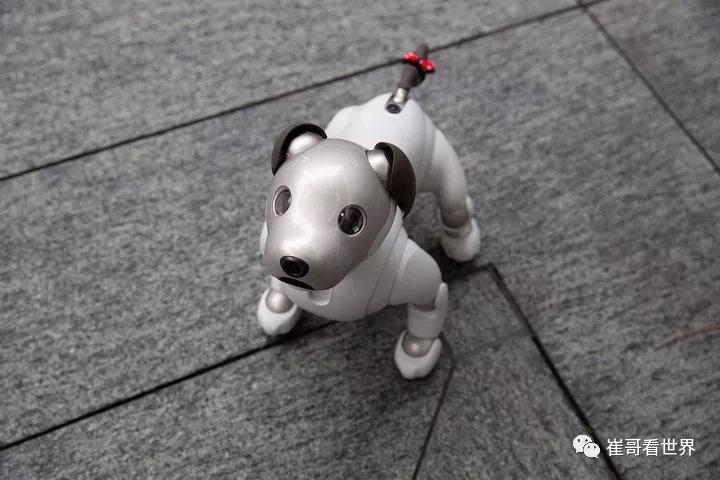 机器人