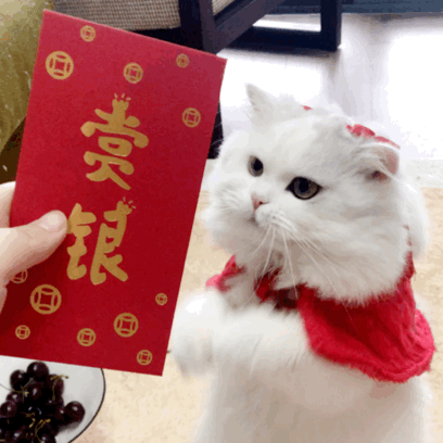 春节