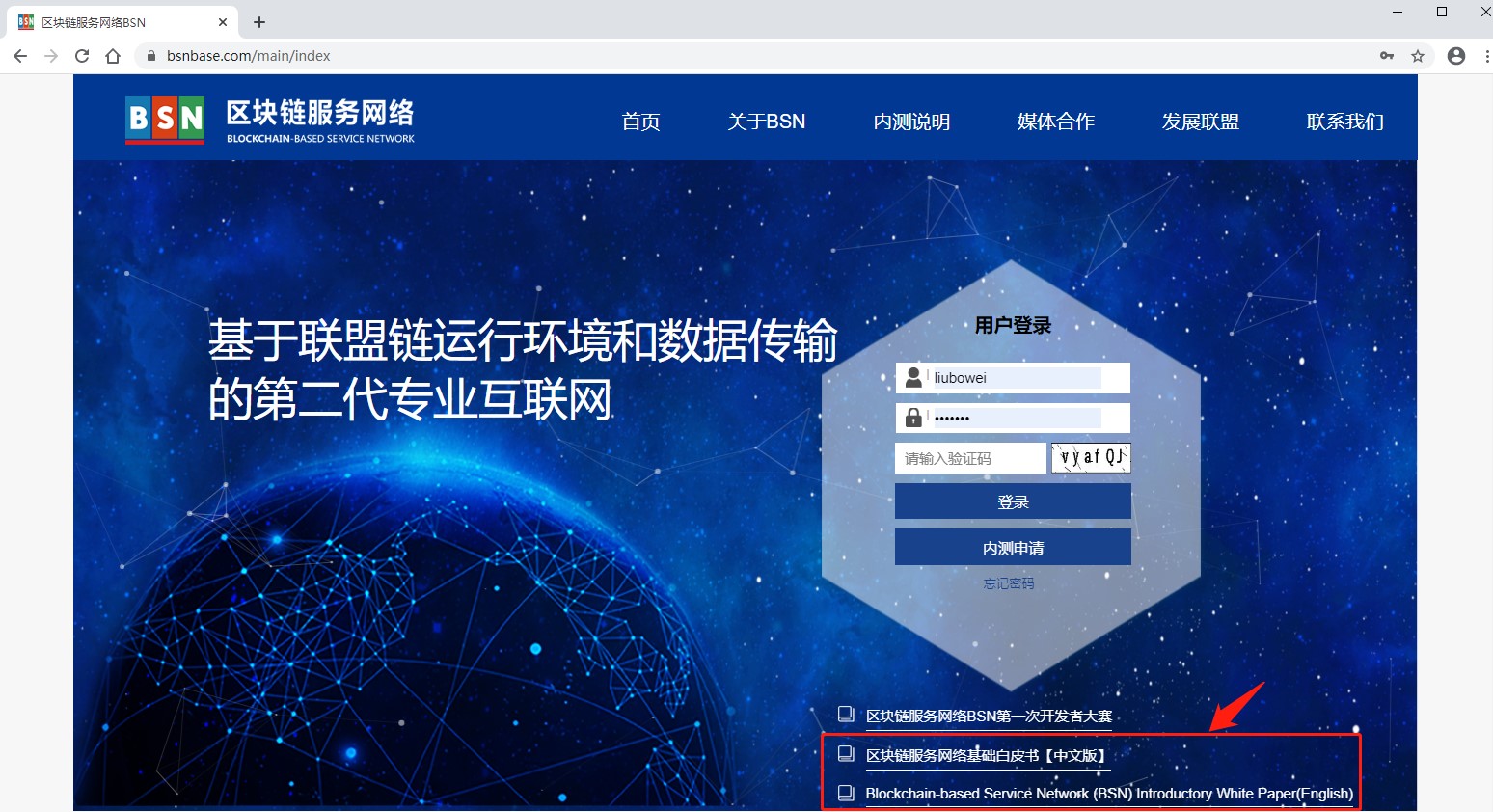 区块链服务网络