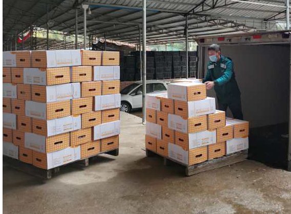 国家互联网应急中心