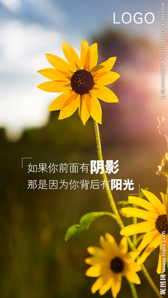 投资