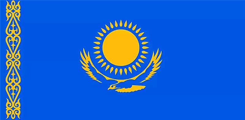 哈萨克斯坦FSP