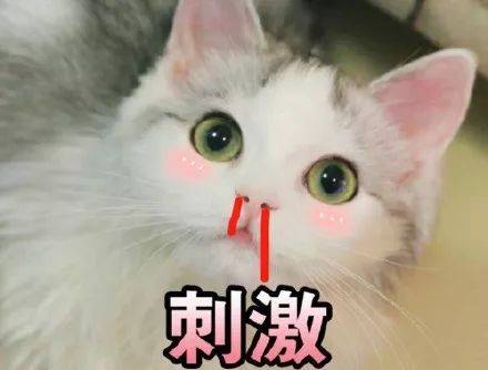 科普