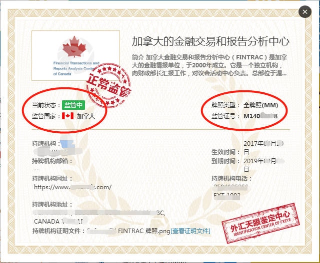 加拿大牌照
