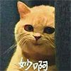 中本聪