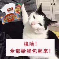 中本聪