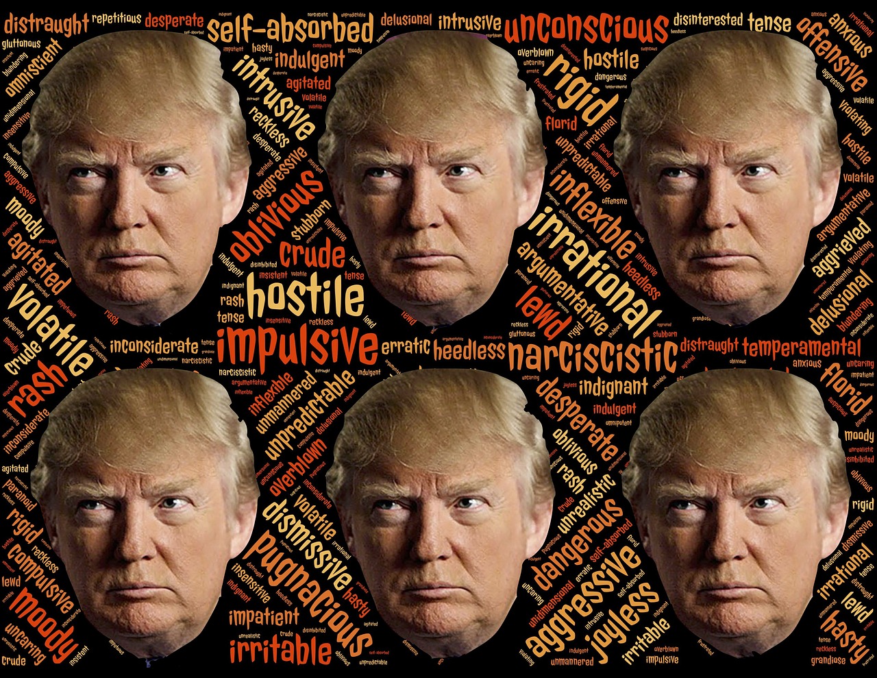 1590779441855088.jpg trump-1779709_1280.jpg