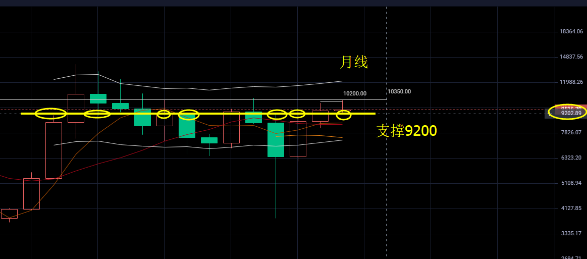 每日行情分析