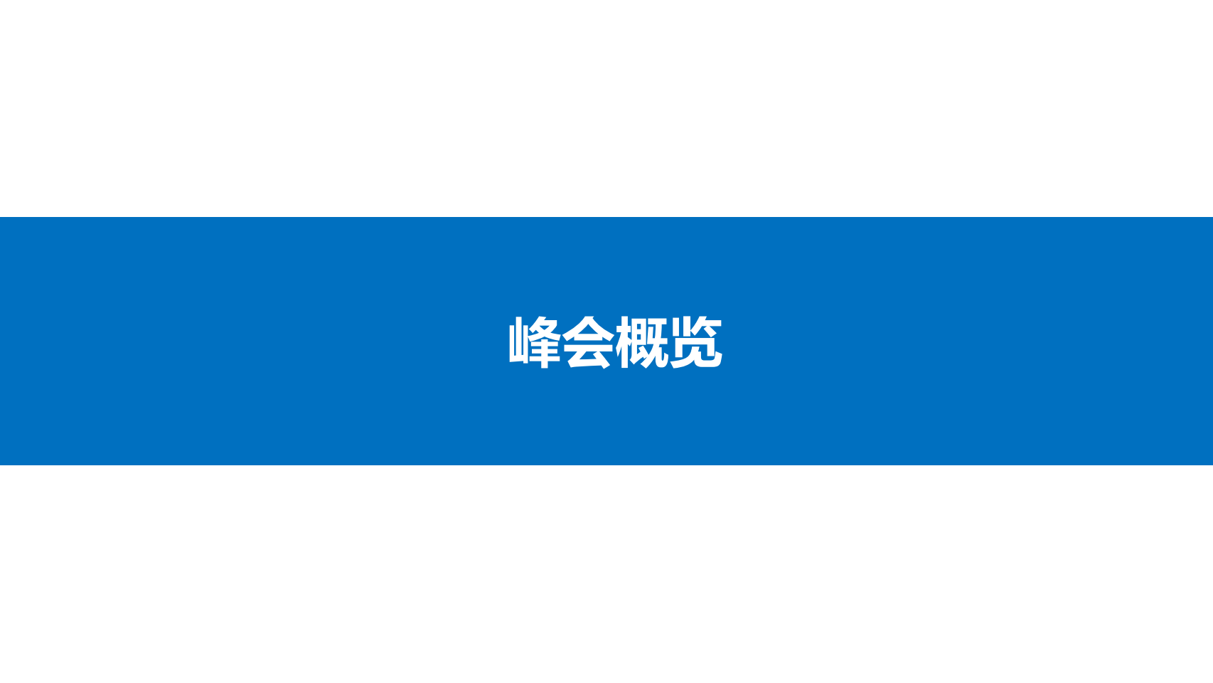 峰会