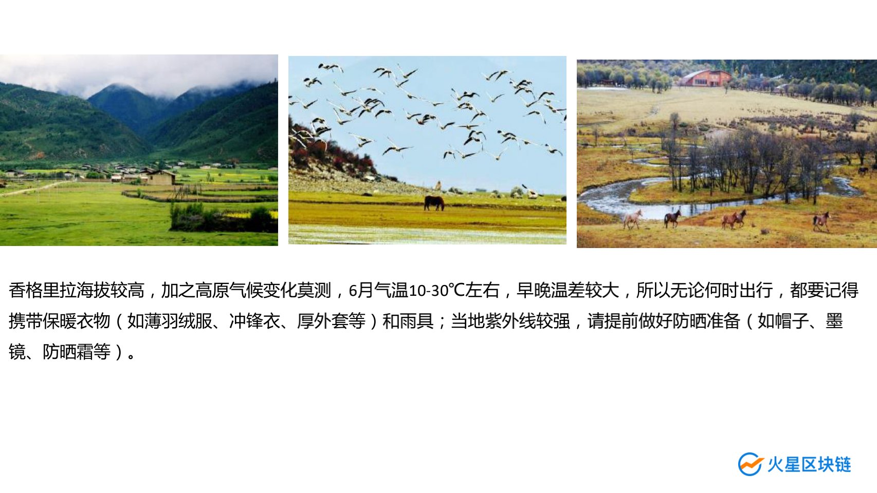 峰会