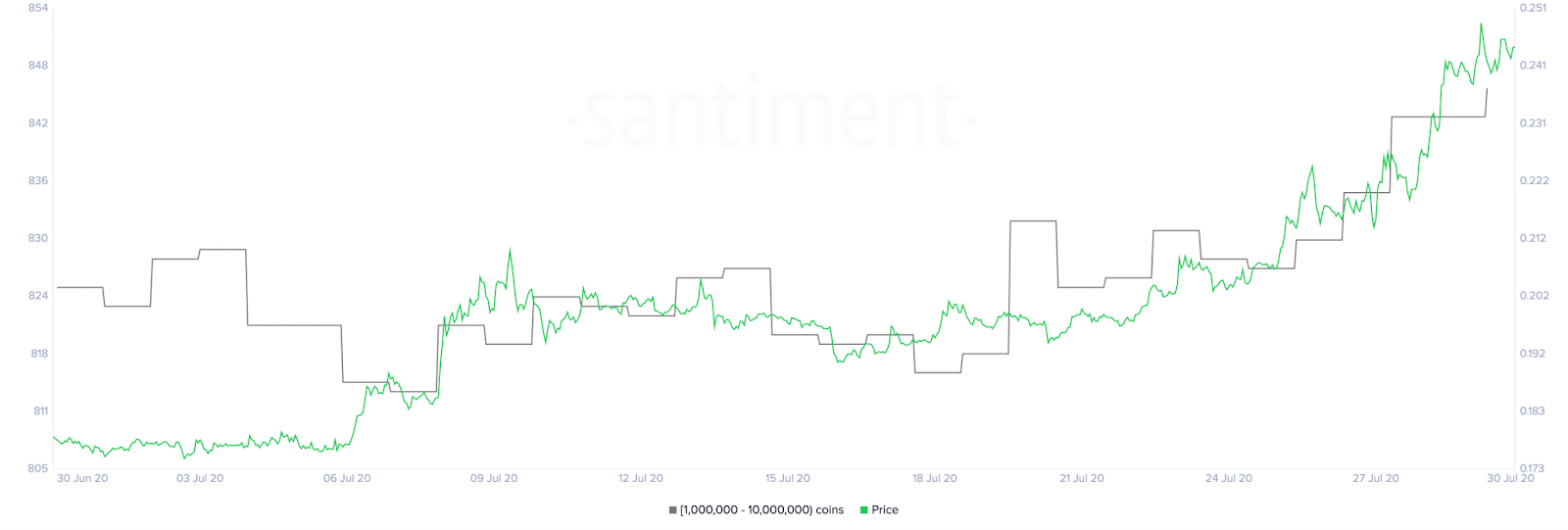 XRP过去两周上涨超30%,新增30只持币巨鲸