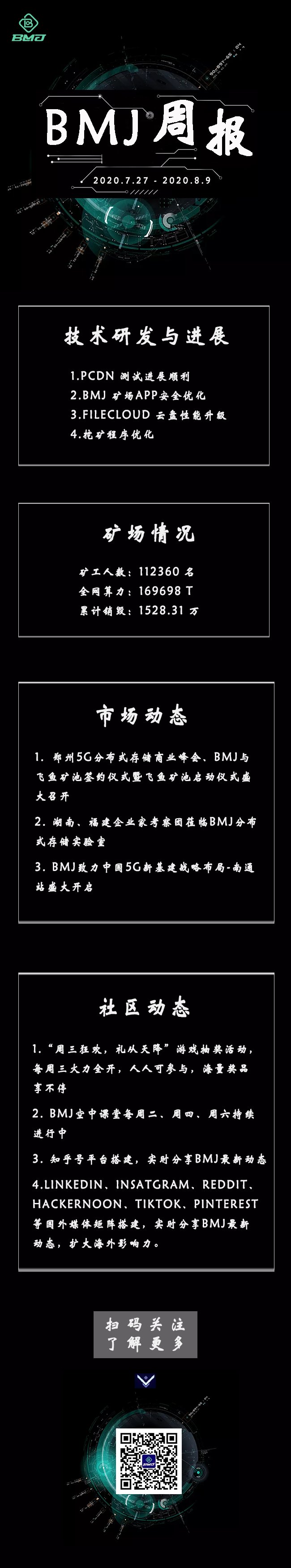 双周报