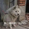 硬件钱包