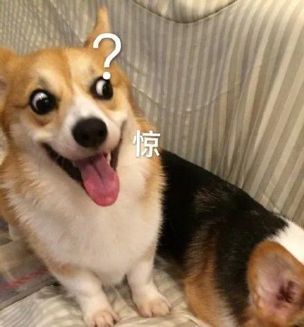 别再洗了，好玩吧就是跑路了