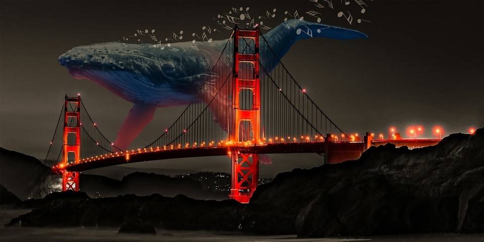 Whale：打造&nbsp;NFT&nbsp;界的「中本聪共识」