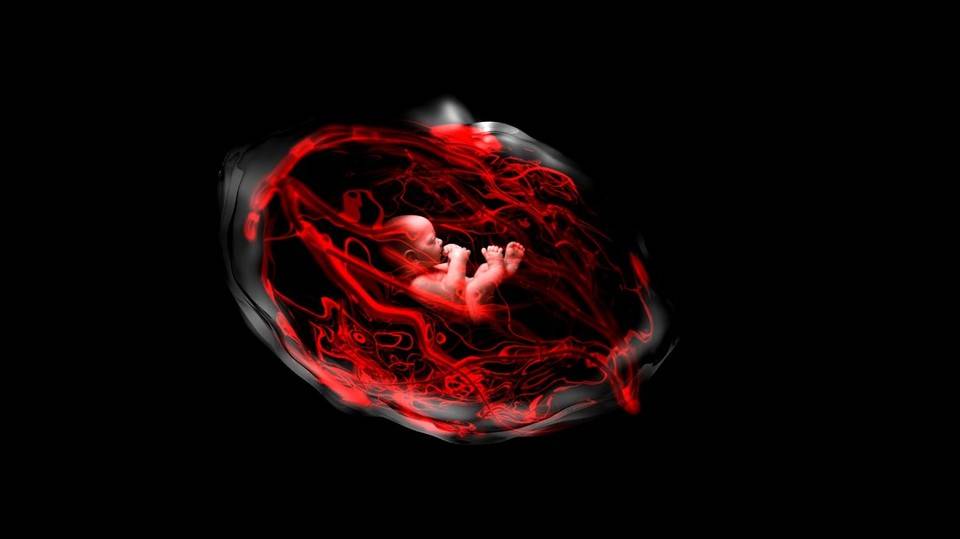 Whale：打造&nbsp;NFT&nbsp;界的「中本聪共识」