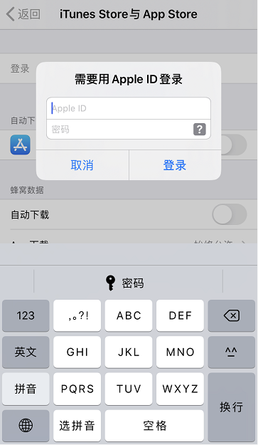 APP