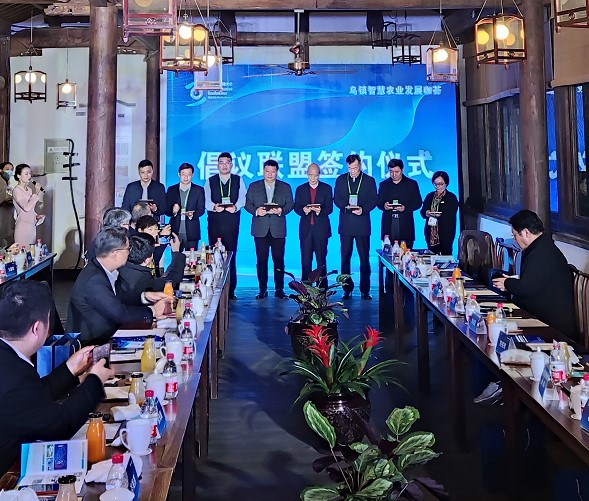 互联网大会
