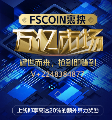 公链