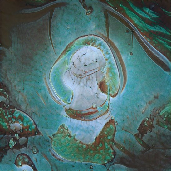 算法