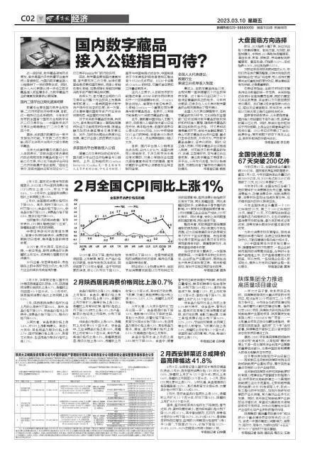国内数字藏品接入公链指日可待?看看专业人士怎么说