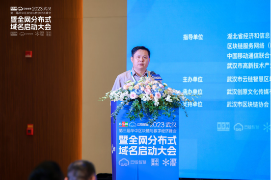 第三届华中区块链与数字经济峰会暨全网分布式域名启动大会在武汉成功举办