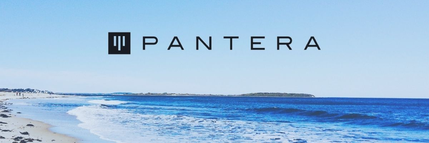 Pantera Capital：区块链进入「从拨号上网到宽带上网」时代