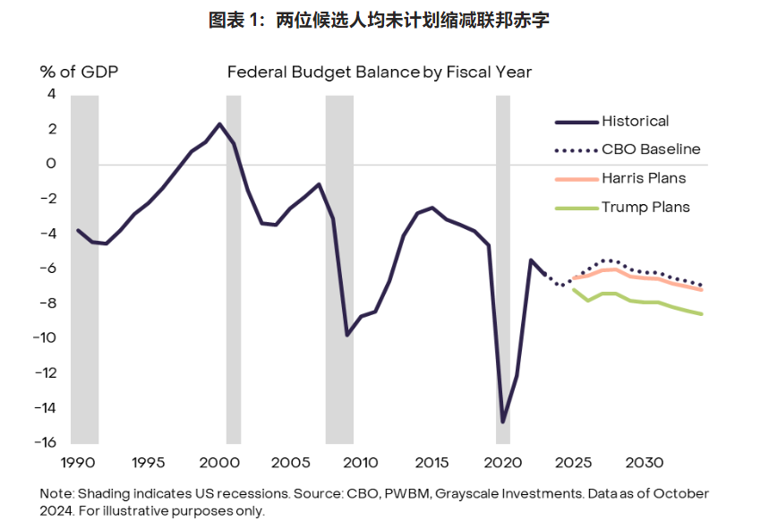 美国大选