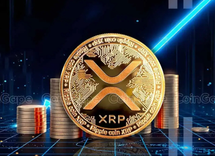 美国,用户,风投,智能合约,XRP,BTC,SOL,ETH,XLM,USDT,FUN,ADA