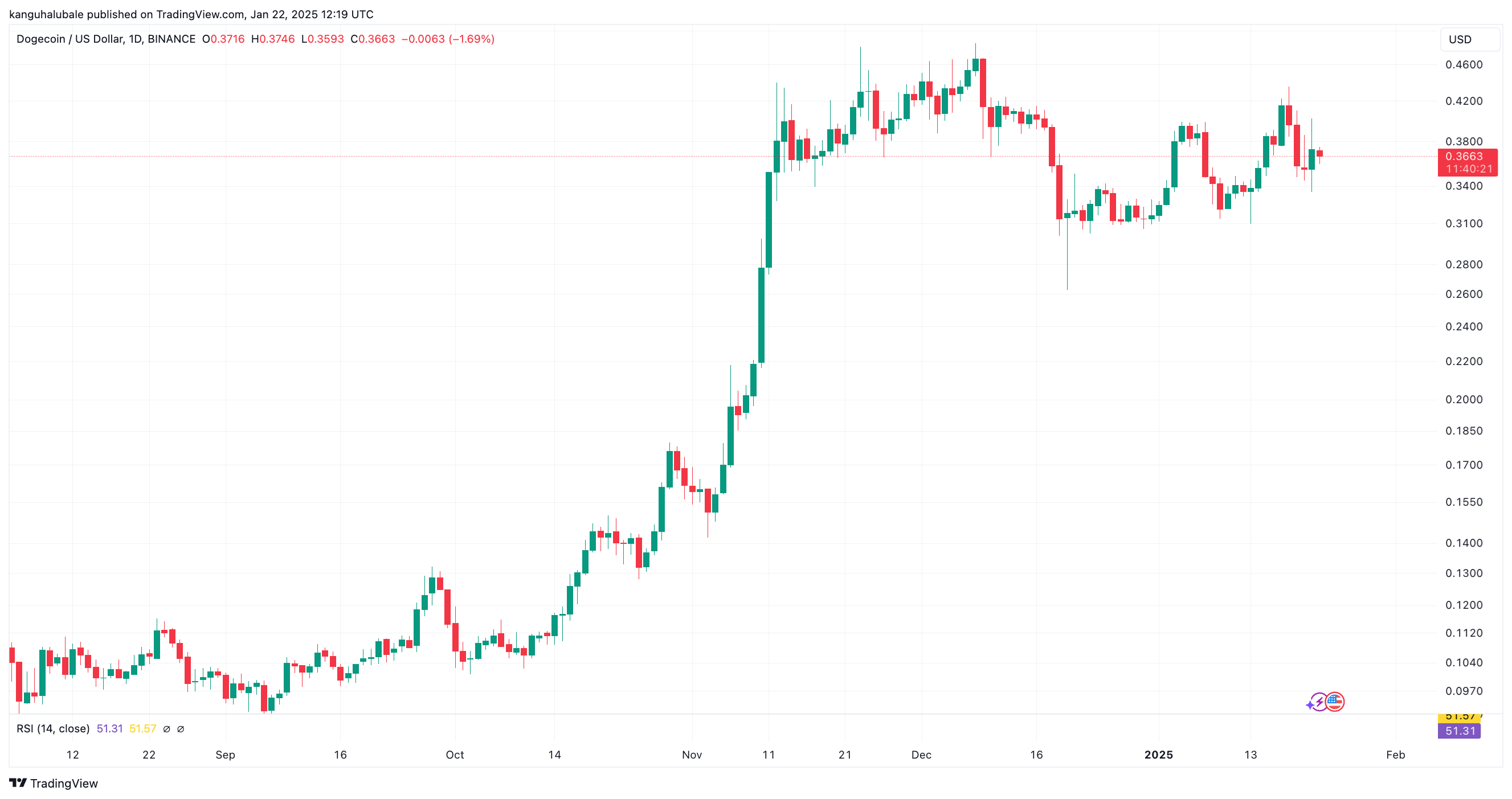 尽管狗狗币（DOGE）近期价格下跌，但鲸鱼活动增加、美国政府效率部门（D.O.G.E.）的短暂关联、潜在的ETF申请，以及技术分析的支持，均表明其价格可能进一步上涨。分析师预测，DOGE价格或将突破历史高点，目标价在$0.95至$2之间。