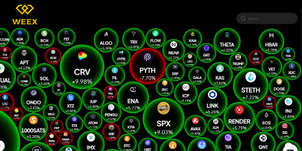 代币,项目,CEO,基金会,加密