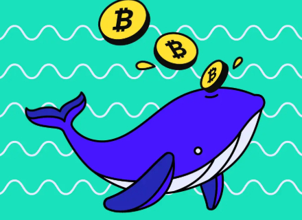 Bitcoin Cash (BCH),Coinbase交易所, Lookonchain