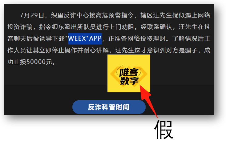 仿冒网站