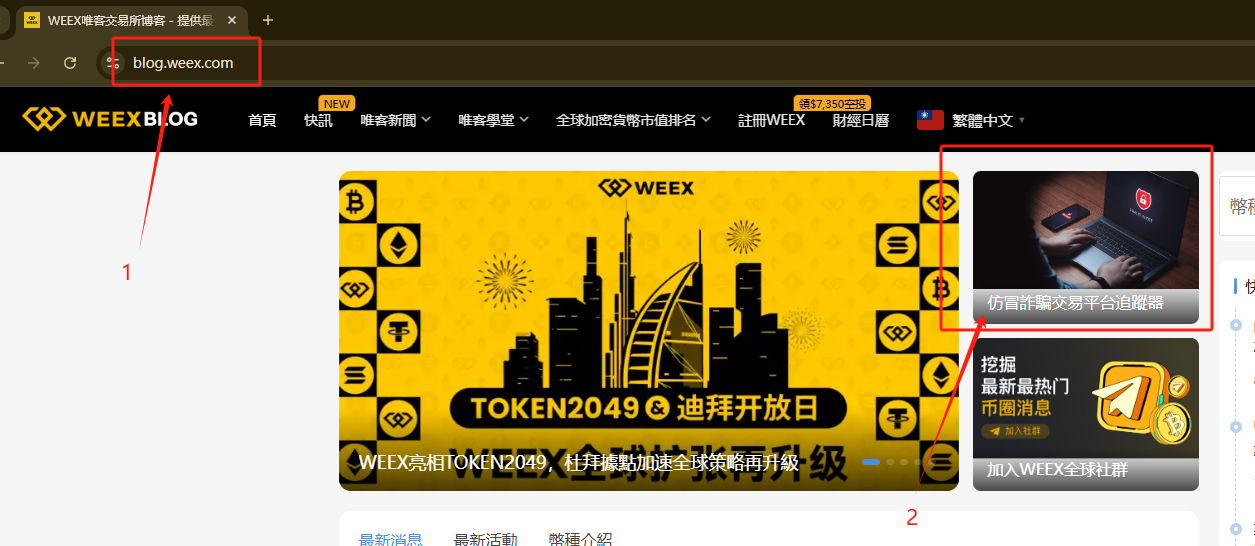 仿冒网站