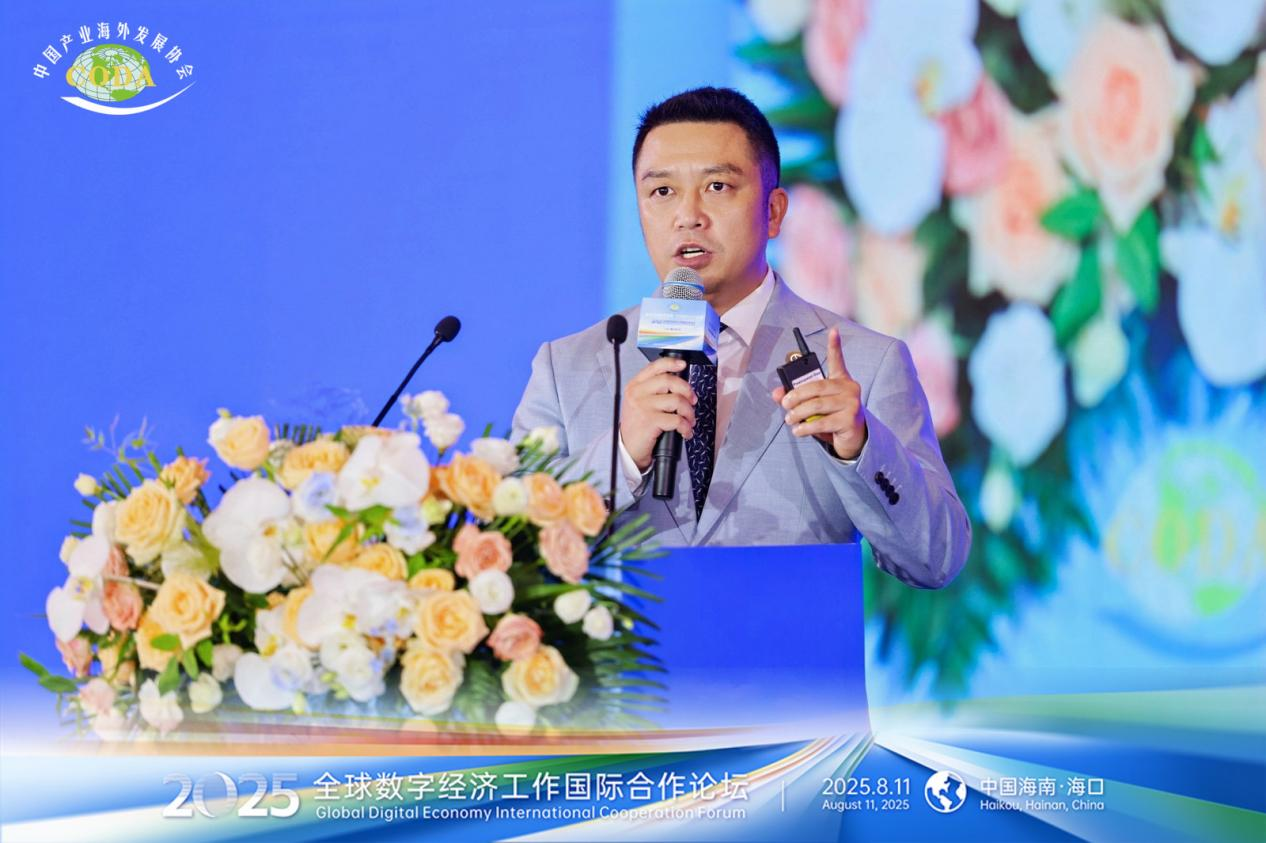 从海南出发,探寻RWA合规与全球化路径
