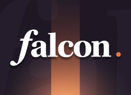 BuidlPad, Falcon Finance,DWF Labs