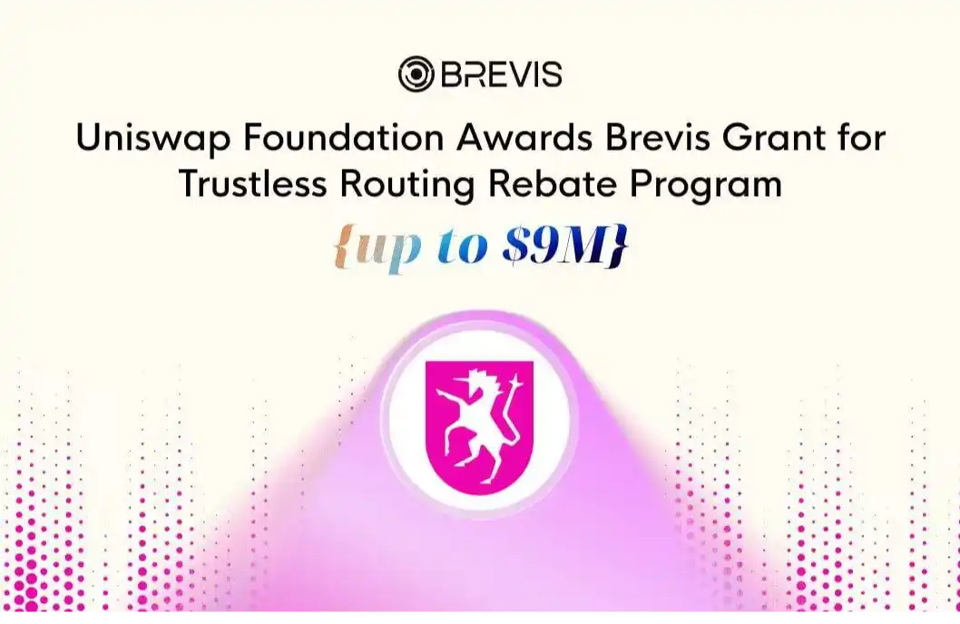 Uniswap,Brevis,Hook