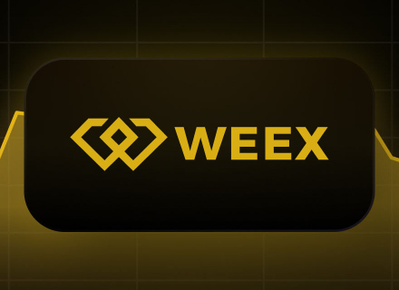 投资者,WEEX,诈骗