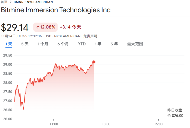 BitMine Immersion Technologies