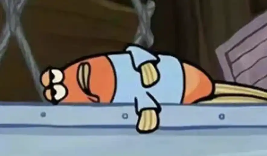 死了么,独居经济,估值