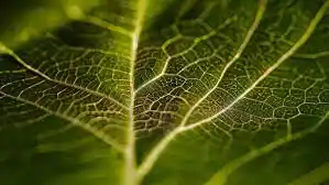 代币化,稳定币,新兴银行