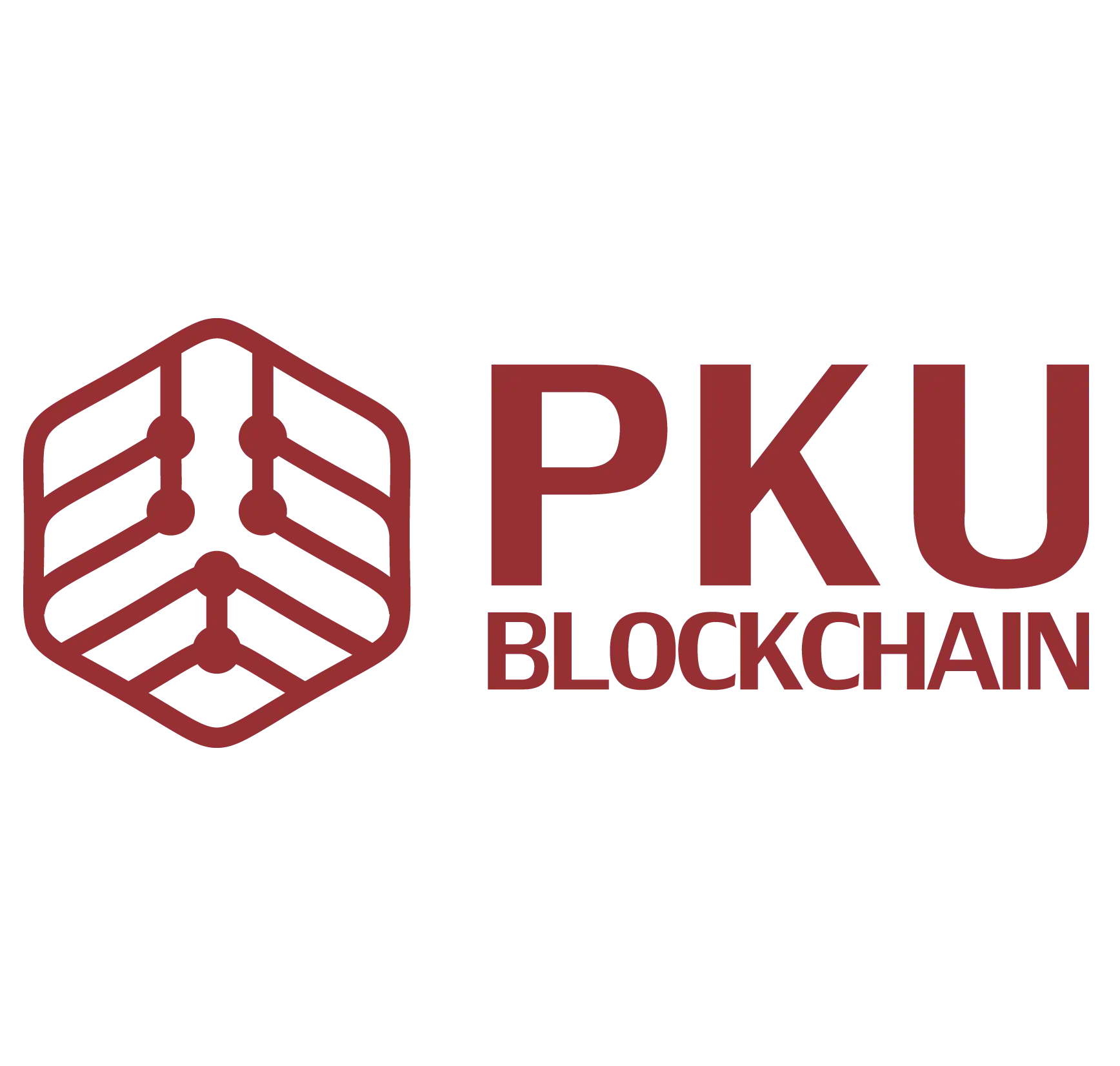 北大区块链研究