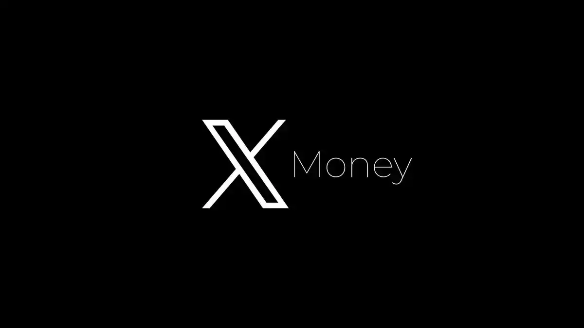 X Money,Elon Musk,Visa