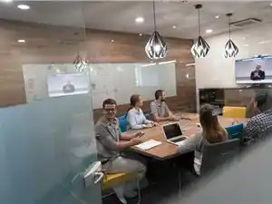 成都东部新区,成都东麓树莓影视科技有限公司,OPC