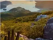 苹果,Apple Vision Pro,LGTM